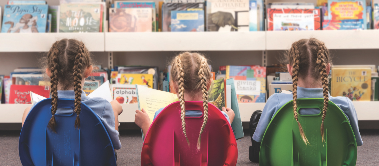 Library & Book Storage