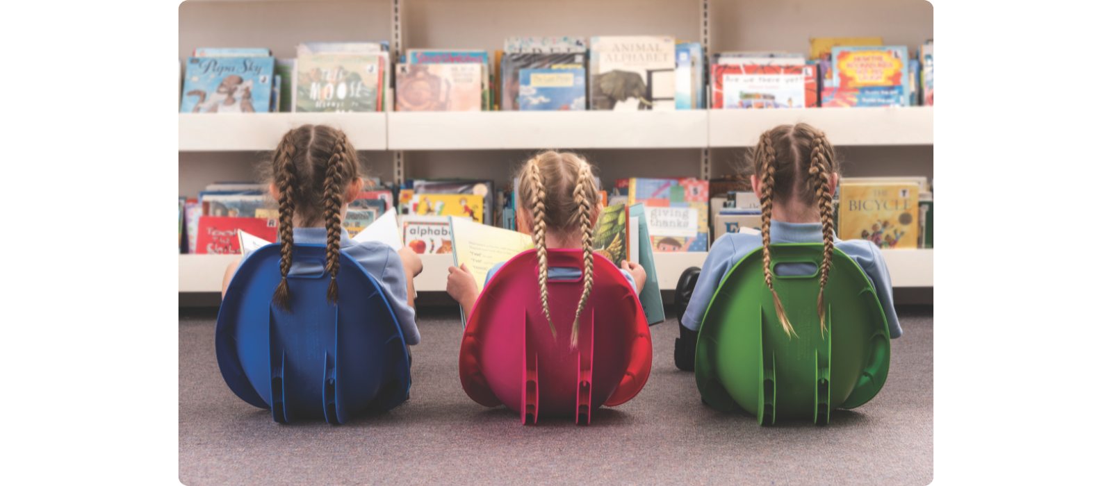 Library & Book Storage