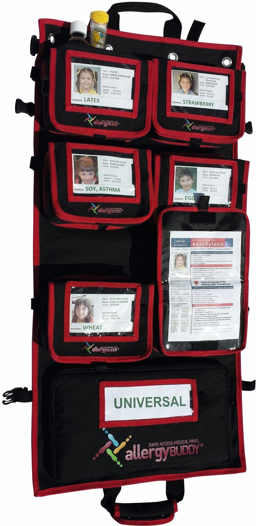 Allergy Buddy Rapid Access Medical Panel