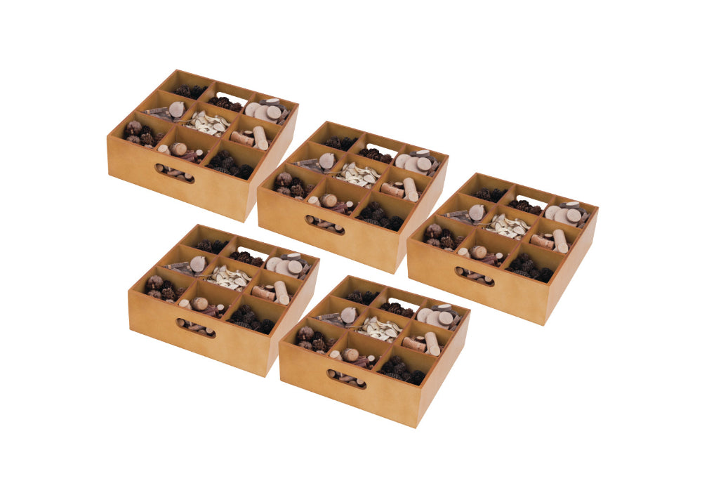 Wooden Sorting Tray - Set of 5