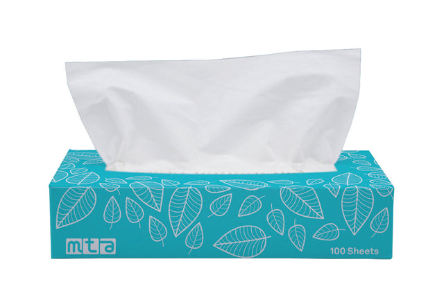 Facial Tissues 2Ply 100 Sheets - Pack of 48