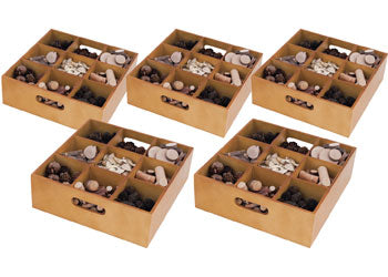 Wooden Sorting Tray - Set of 5