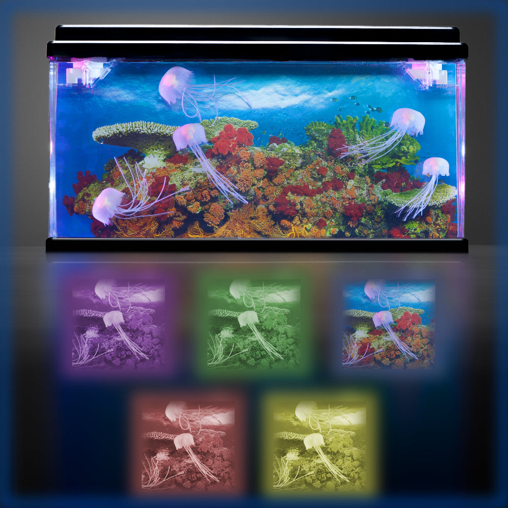 Jelly Fish Tank Large + Adaptor
