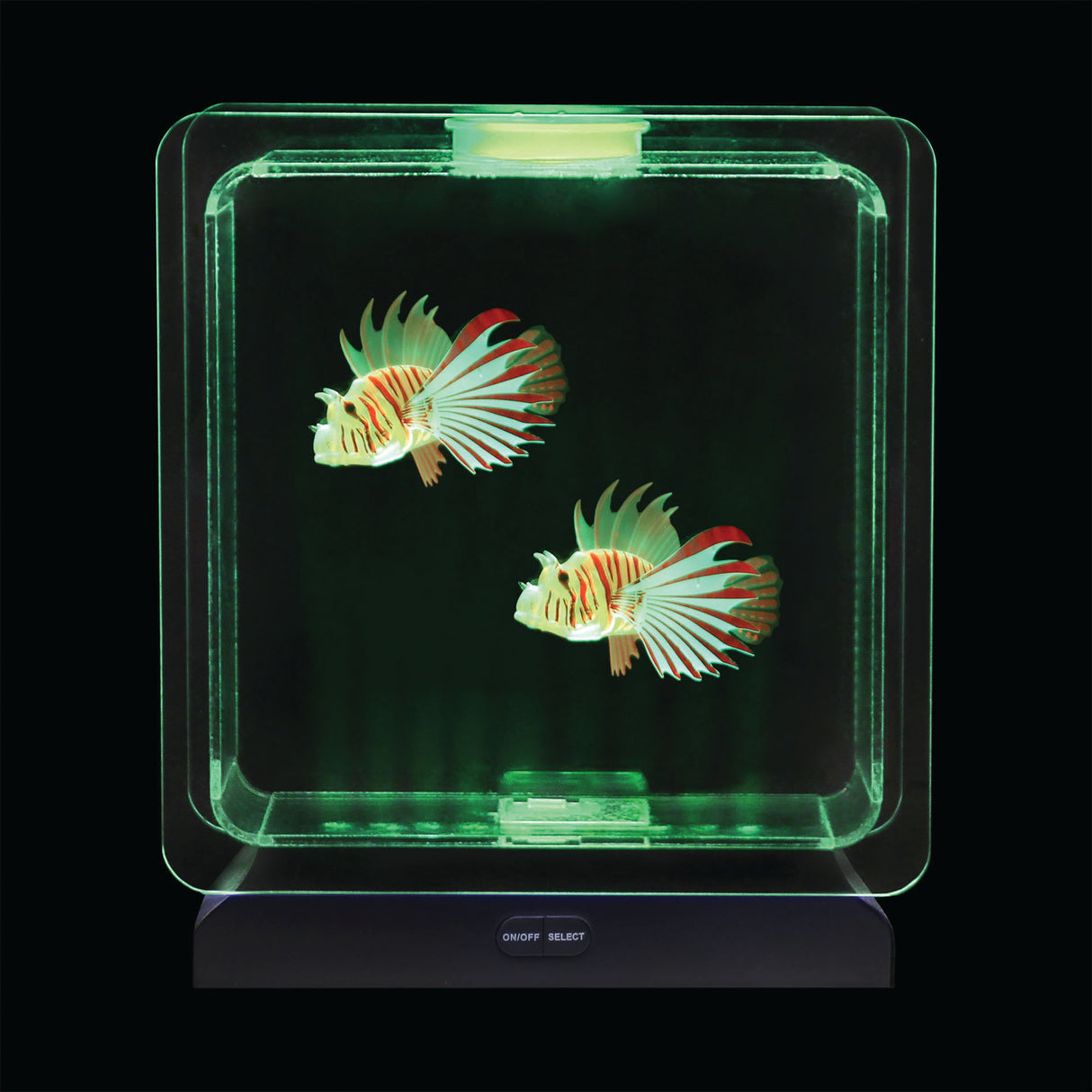 Fish Tank Square