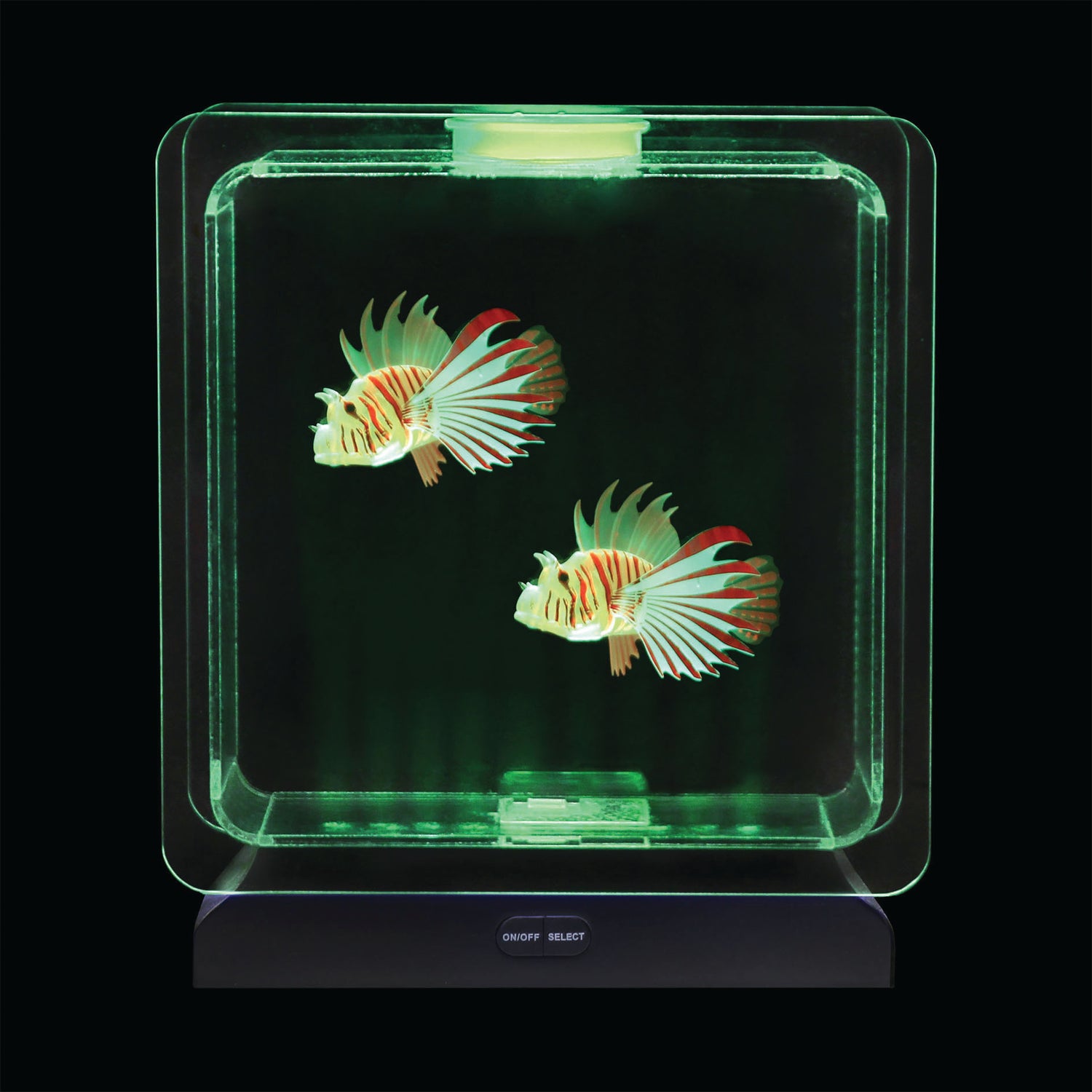 Fish Tank Square