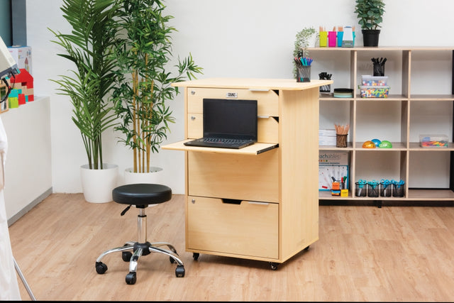Ergerite - Teacher Pod