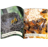 Decodable Readers Non Fiction Set 2 Phase 4: Blends