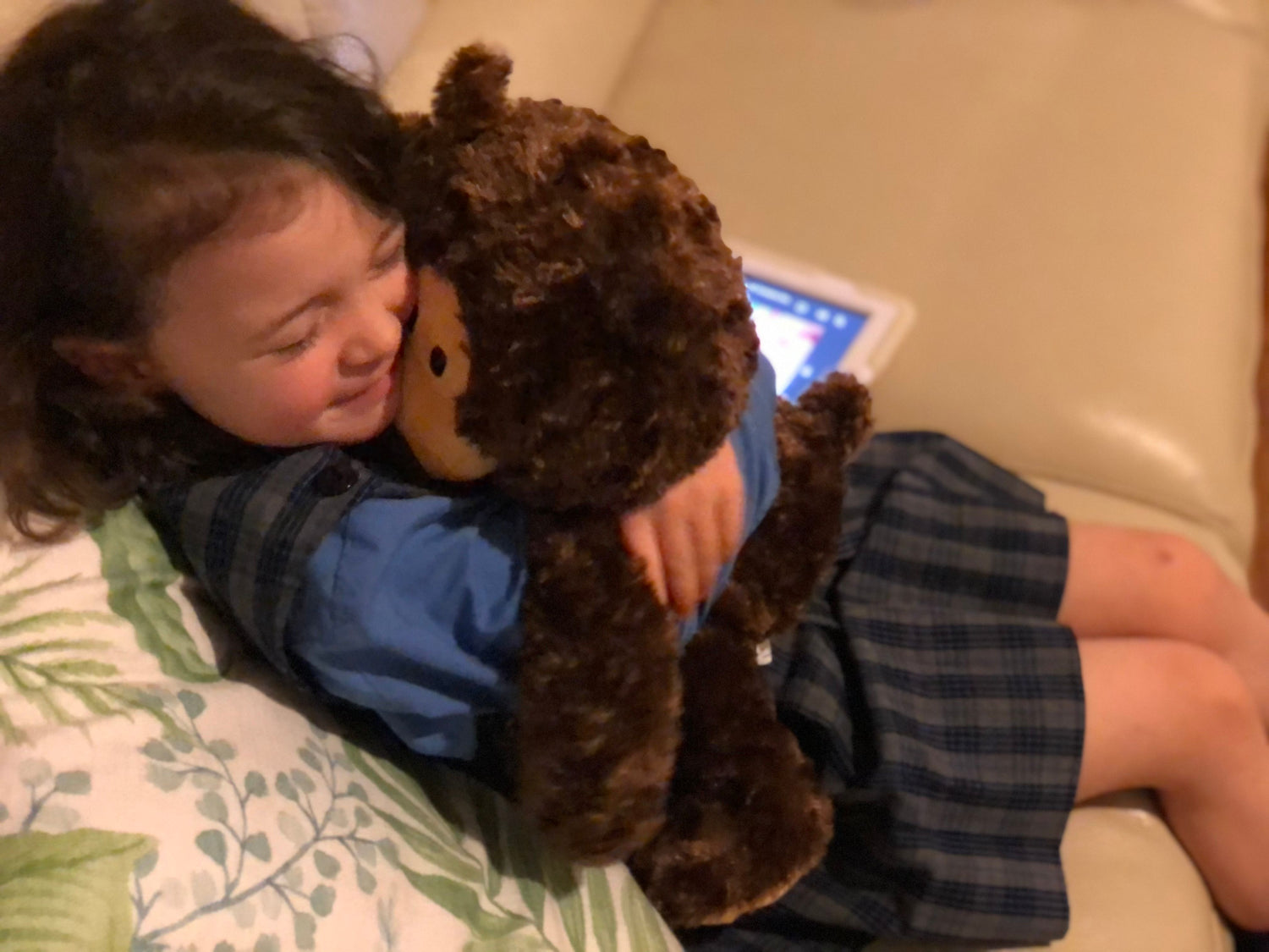 Weighted Comfort Bear