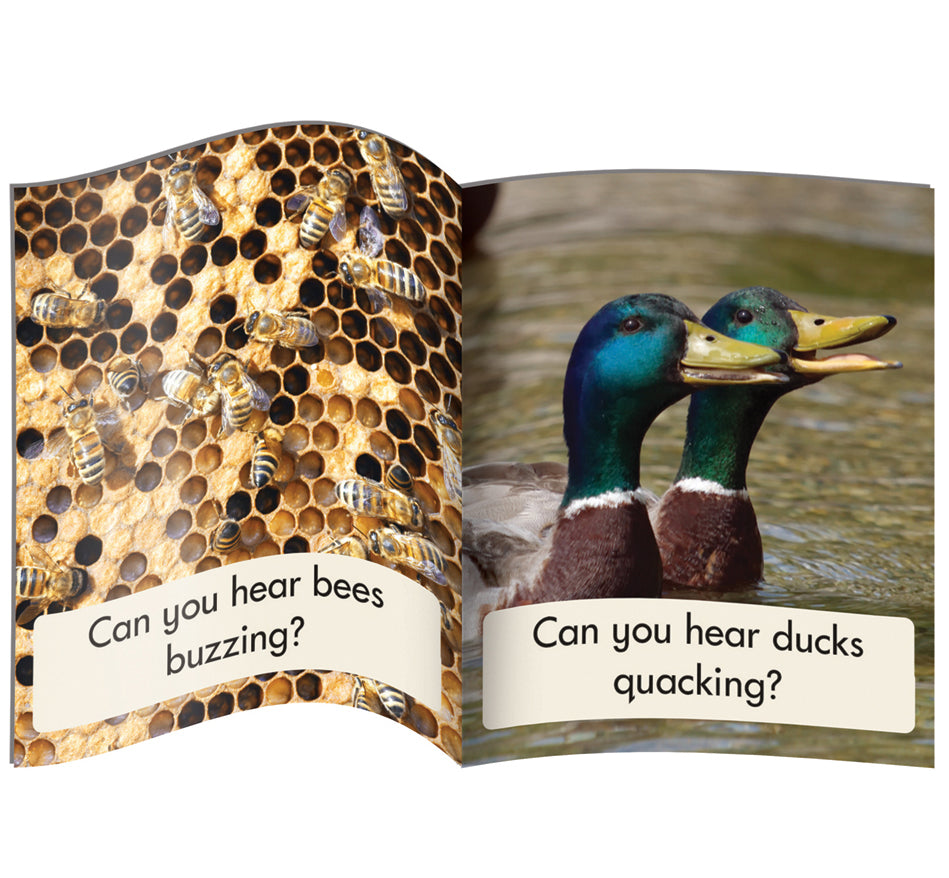 Decodable Readers Non Fiction Set 1 Phase 3: Phonics