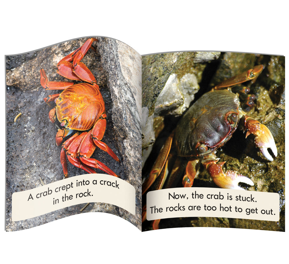 Decodable Readers Non Fiction Set 1 Phase 4: Blends