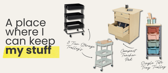 Teacher Storage