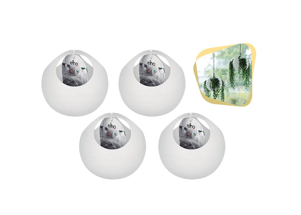 Air Plant Hanger 4 Pack