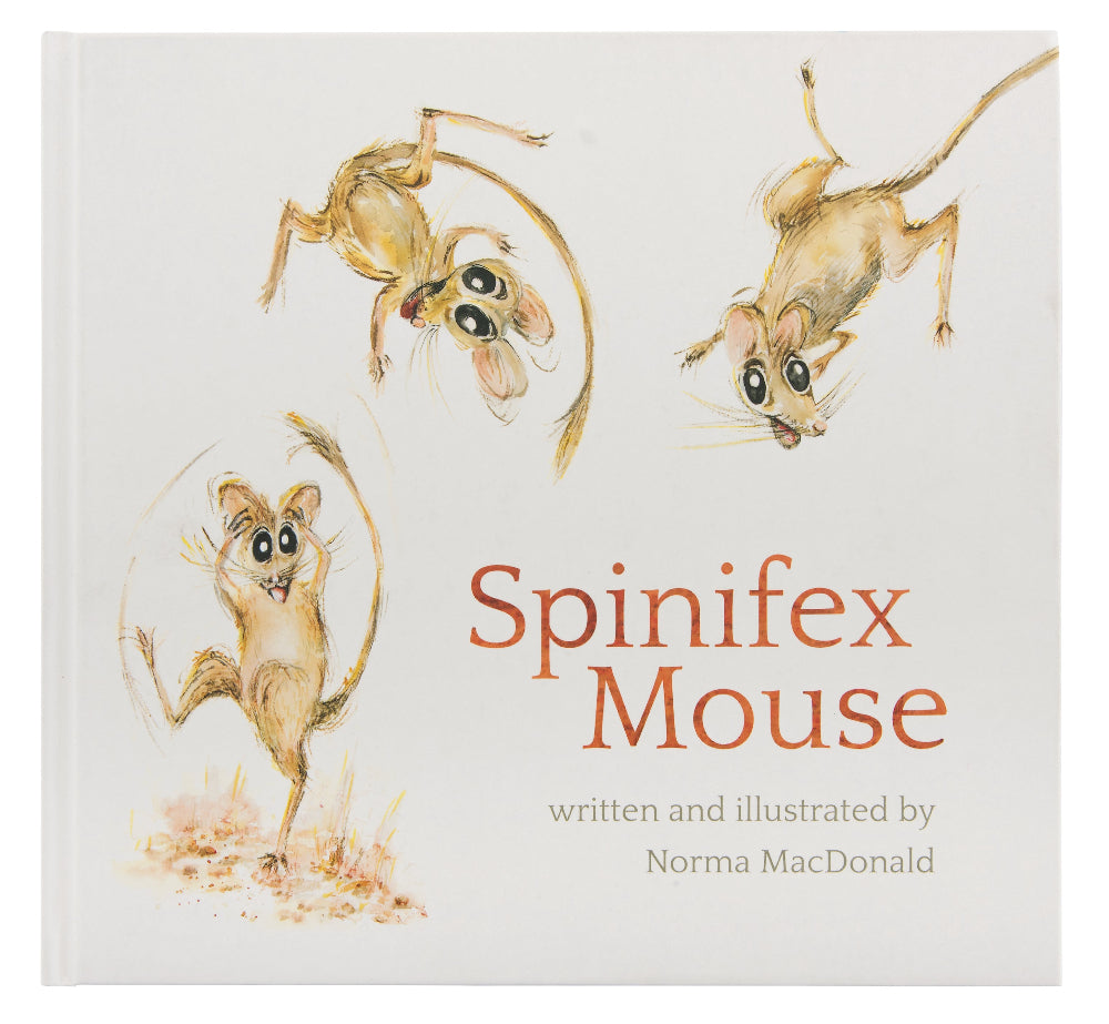 Spinifex Mouse
