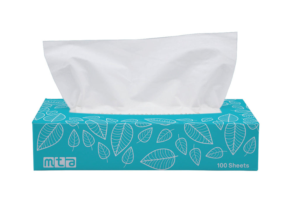 Facial Tissues 2Ply 100 Sheets - Pack of 48