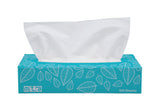 Facial Tissues 2Ply 100 Sheets - Pack of 48