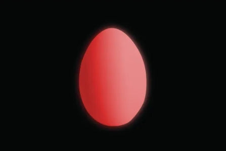 Sensory Solutions - Light Exploration