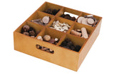 Wooden Sorting Tray - Set of 5