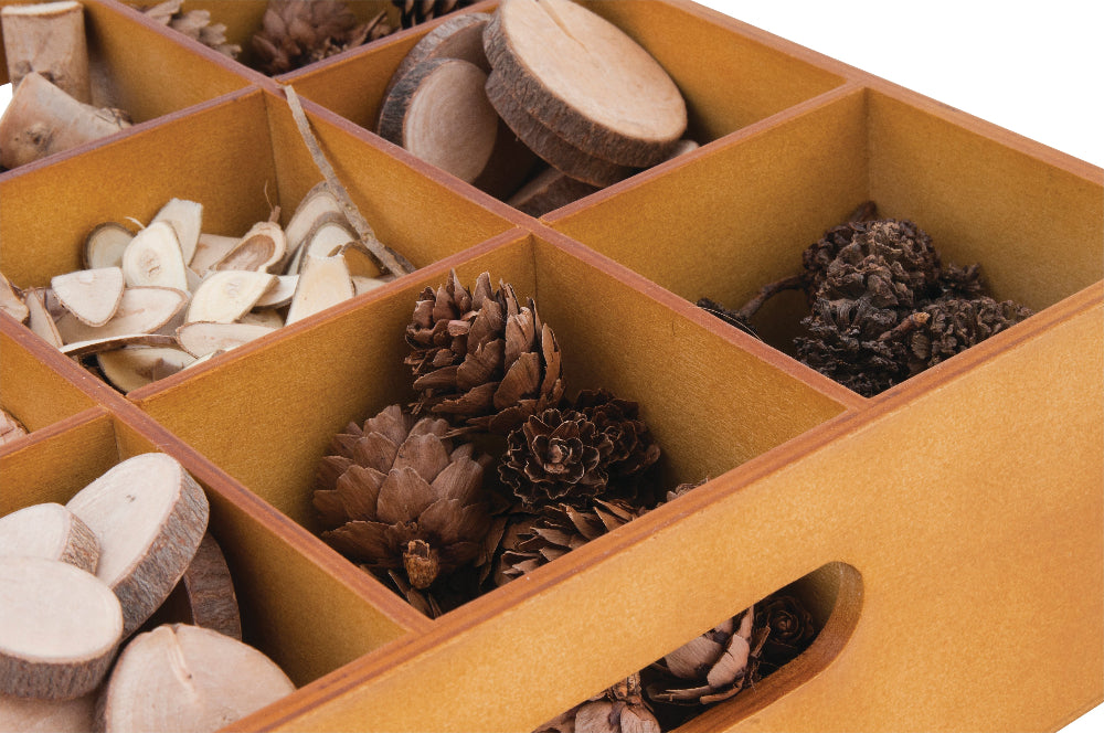 Wooden Sorting Tray - Set of 5