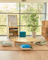 Ergerite - Mobile Teacher Whiteboard