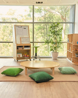 Ergerite Mobile Teacher Whiteboard