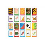 Who Am I? Flashcards