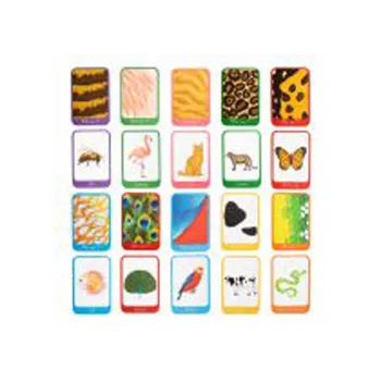 Who Am I? Flashcards