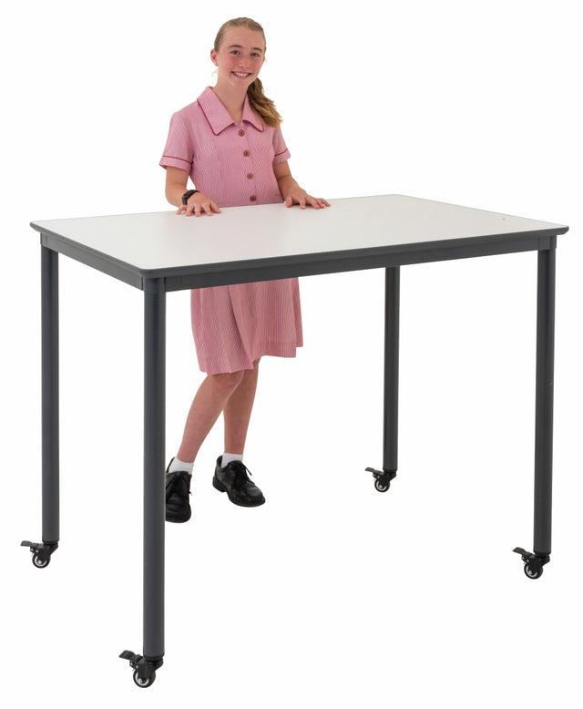 Ergerite - Tall Table - 120x80x97cm