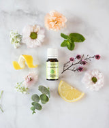 Wellness Diffuser Kit