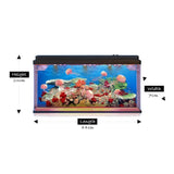 Jelly Fish Tank Large + Adaptor