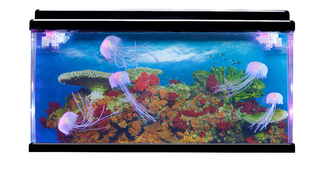 Jelly Fish Tank Large + Adaptor