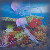 Jelly Fish Tank Large + Adaptor