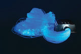 Fibre Optic Tails 2m - 200 pc
