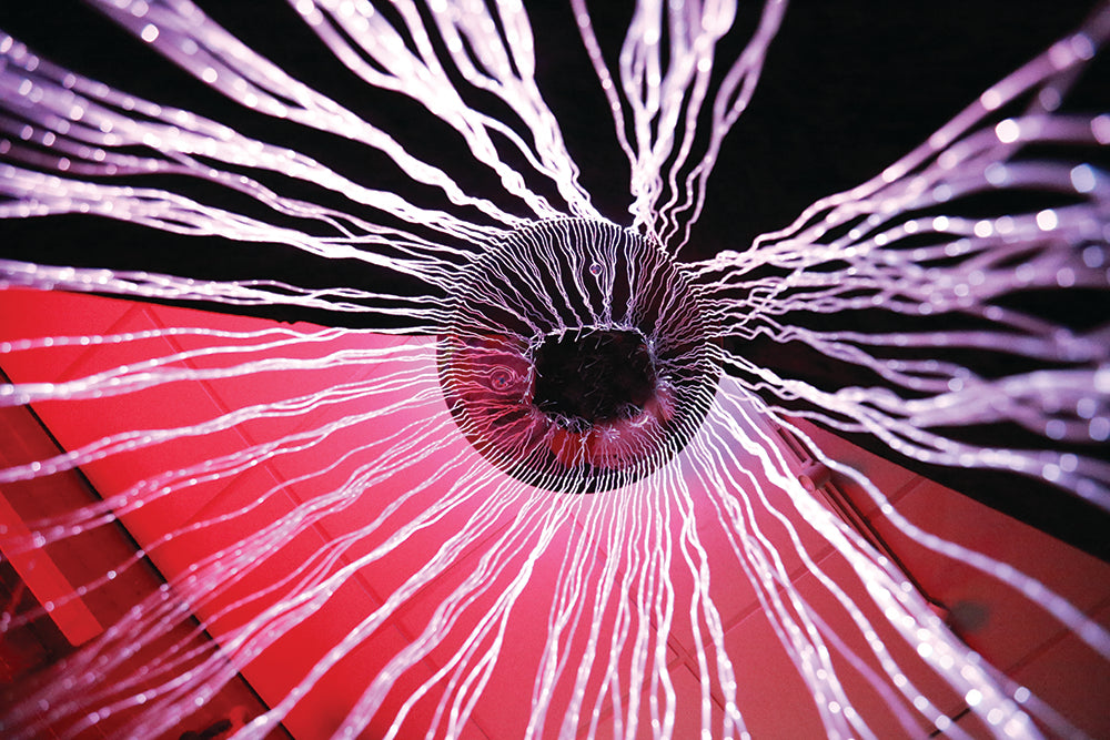 Sensory Fibre Optic Curtain Ring + Adaptor