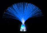 Fibre Optic Lamp with Colour Changing Base