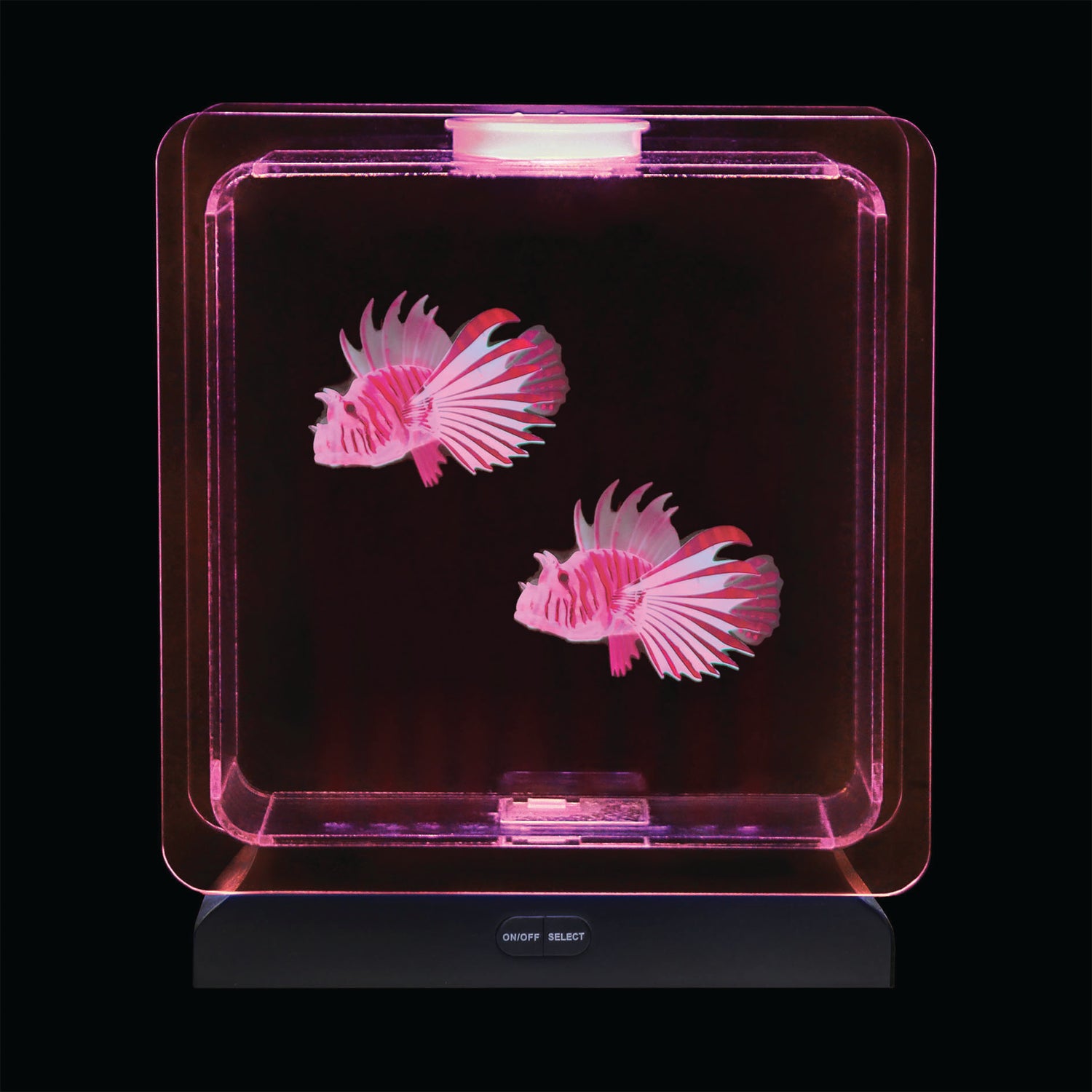 Fish Tank Square