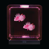 Fish Tank Square