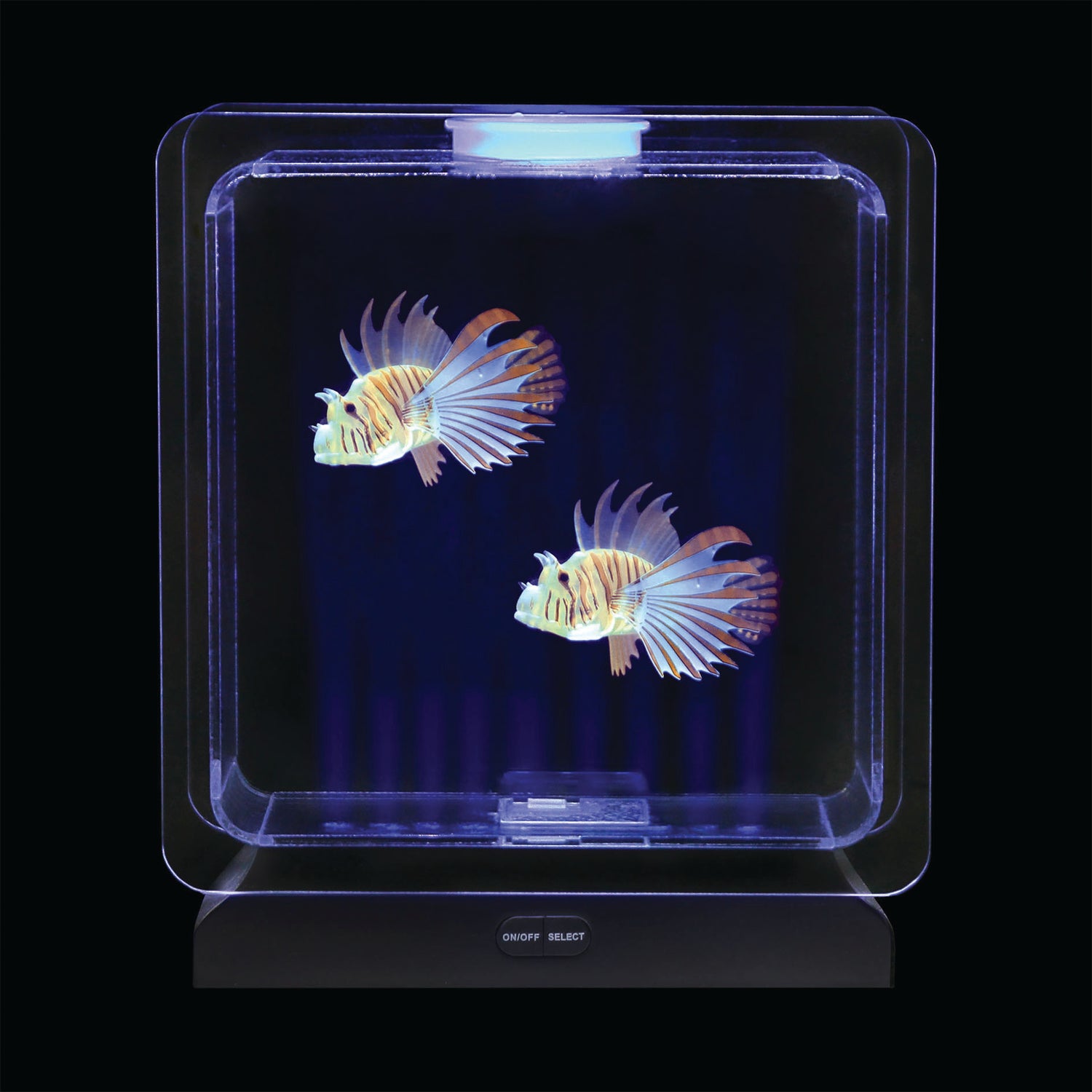 Fish Tank Square