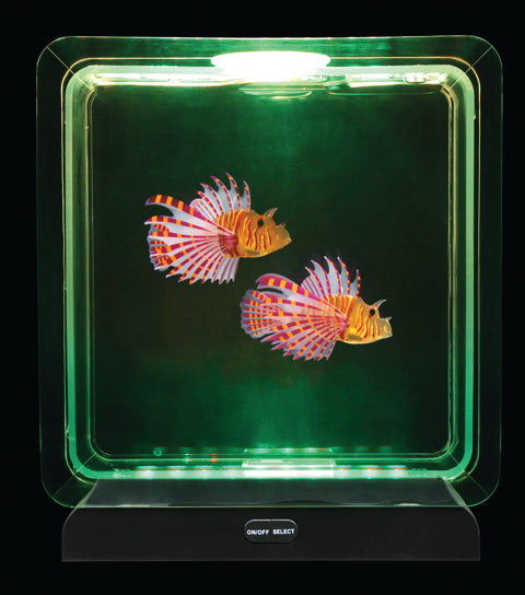 Fish Tank Square