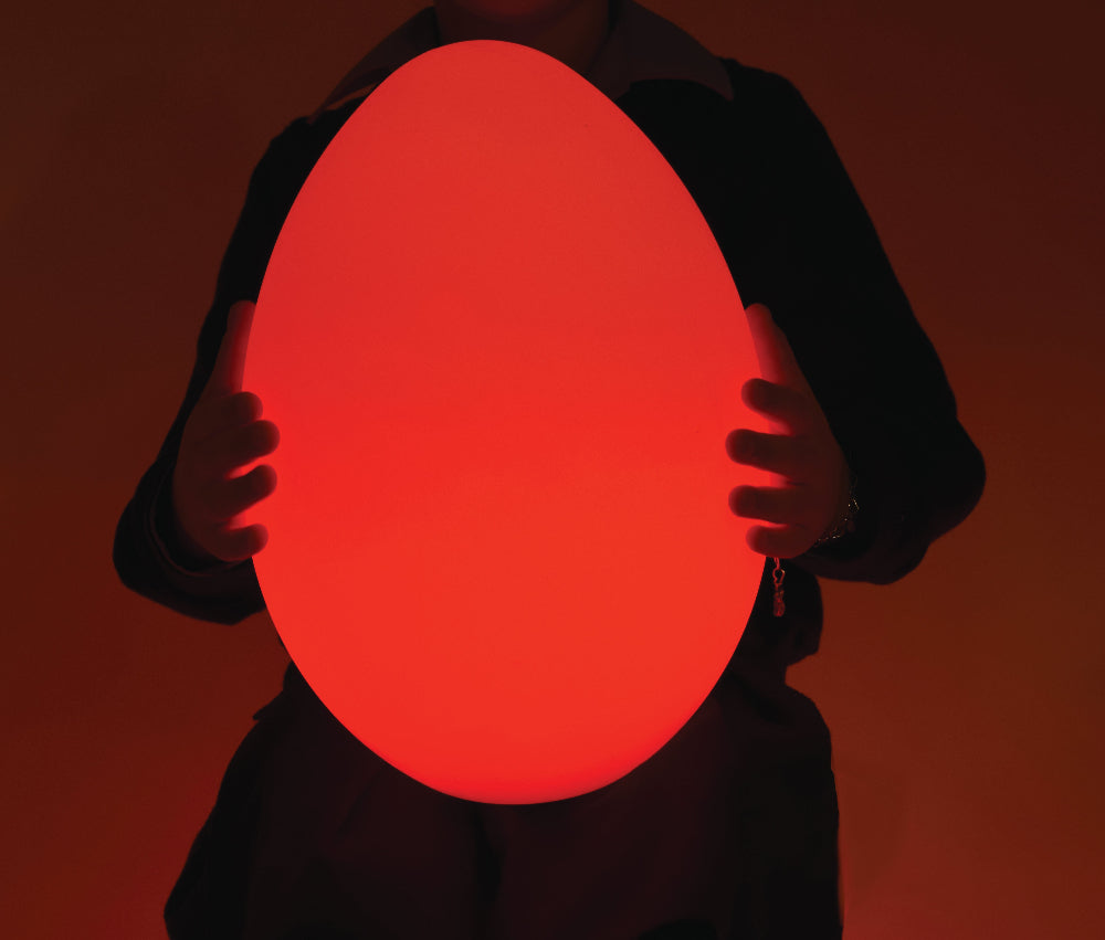 Colour Changing Egg with Adaptor