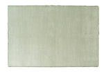Light Green Rectangle Rug