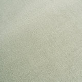 Light Green Rectangle Rug