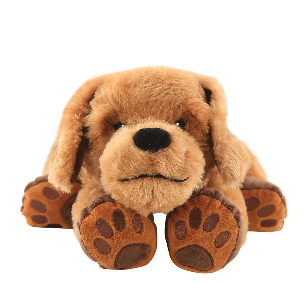 Theo the Therapy Dog