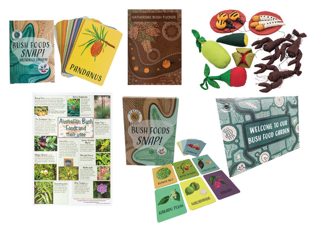 Aboriginal Bush Food Kit