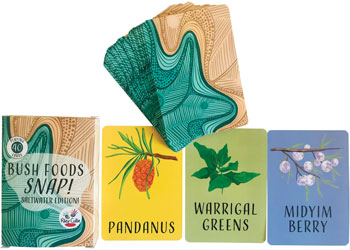 Bush Foods Snap- Saltwater Country