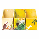 Indigenous Magazine Box - Bush Set of 3
