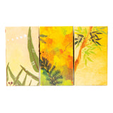 Indigenous Magazine Box - Bush Set of 3