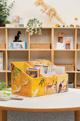 Indigenous Magazine Box - Bush Set of 3