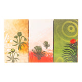 Indigenous Magazine Box - Earth Set of 3