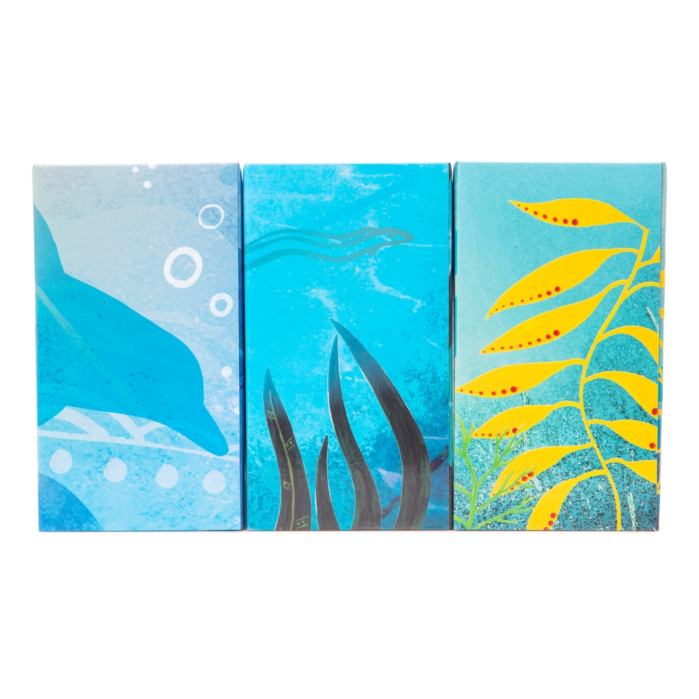 Indigenous Magazine Box - Marine Set of 3