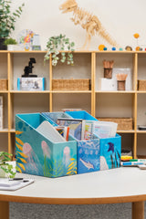 Indigenous Magazine Box - Marine Set of 3